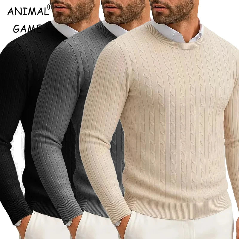 Men's Crewneck Knitted Pullover Sweater  Long Sleeve  Warm Twist Patterned
